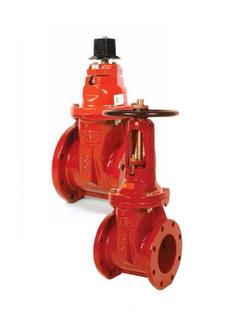 8 in. Flanged Ductile Iron OS&Y Non-Rising Resilient Wedge Gate Valve
