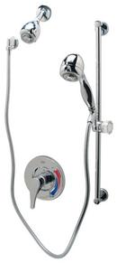 Zurn Polished Chrome Hand Shower 