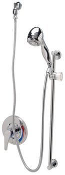 Zurn Polished Chrome Single Handle Shower Faucet 