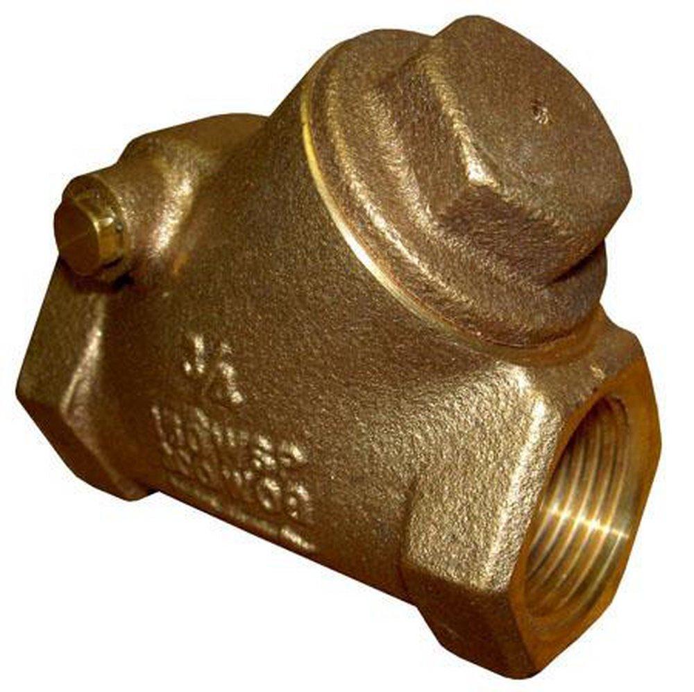 FNW&reg; Bronze NPT Swing Check Valve 
