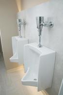 Moen Chrome 1 gpf Flush Valve 