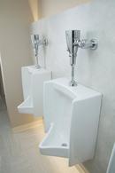 Moen Chrome 1 gpf Flush Valve 