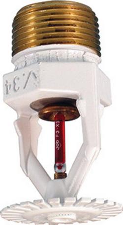 3/4 in. 155F 6.9K Pendent Sprinkler and Quick Response Sprinkler Head in White