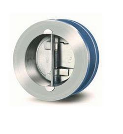 4 in. Cast Iron Wafer Check Valve