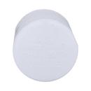 White PVC Schedule 40 Cap 