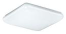 2-Light Compact Fluorescent Narrow Cloud in White