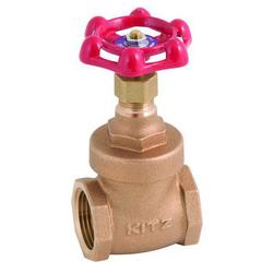 1 in. Cast Bronze FNPT Gate Valve