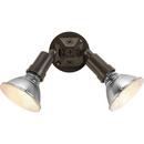 Progress Lighting Antique Bronze 120 W 2 Light Halogen Flood Light 