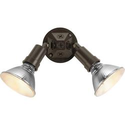 120 W 2 Light Halogen Flood Light in Antique Bronze