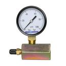 100 psi Gas Test Gauge Assembly