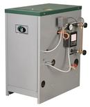 Commercial Water/Steam Boiler 460 MBH Natural Gas