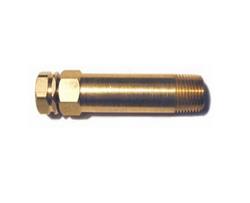 1/4 in. NPT Brass Plug