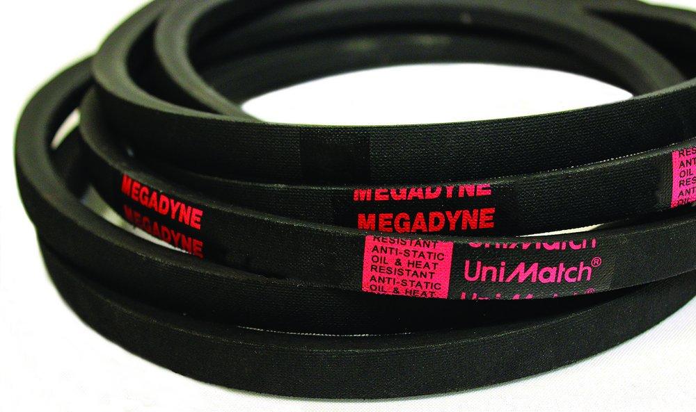 Jason Industrial 0.3125 in. Belt 