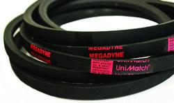 19 x 0.3125 in. Belt