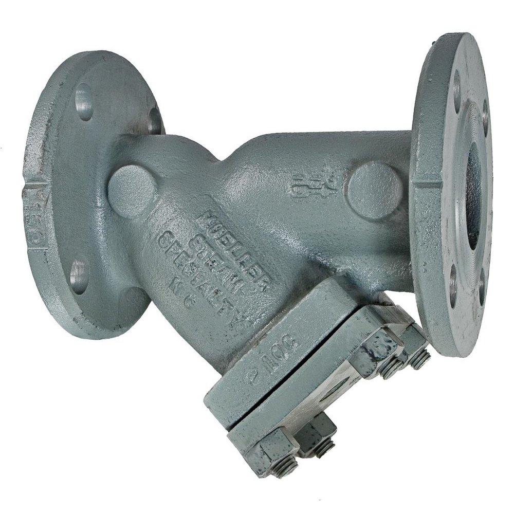 Mueller Steam Specialty 150# Flanged Perforated Wye Strainer 