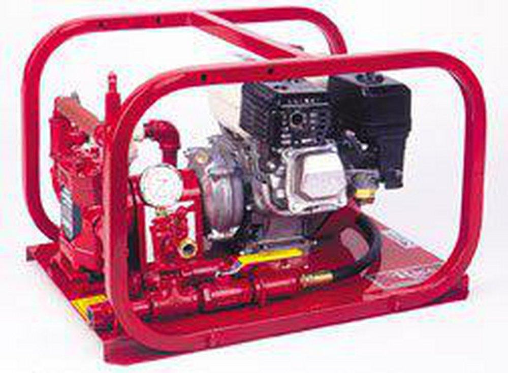 Rice Hydro 110/220V 1/2 hp Hydrostatic Test Pump 