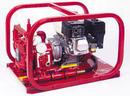 110/220V 1/2 hp 3 gpm Hydrostatic Test Pump