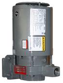 Bell & Gossett Repair Pump and Motor Assembly 