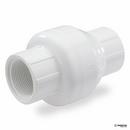 NDS White Plastic FPT Swing Check Valve 