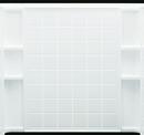 Sterling White 60 in. Shower Wall in White 