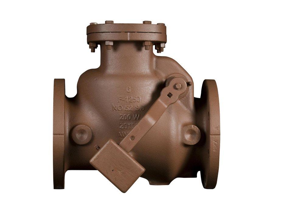 14 in. Cast Iron Flanged Check Valve 