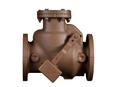 14 in. Cast Iron Flanged Check Valve