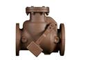 14 in. Cast Iron Flanged Check Valve 