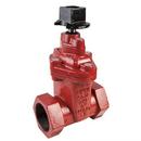 American Flow Control Threaded Ductile Iron OS&Y Non-Rising Resilient Wedge Gate Valve 