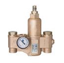 1 x 1-1/4 in. NPT Thermostat Mixing Valve