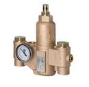 Bradley Corporation Rough Brass NPT Thermostat Mixing Valve 