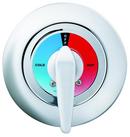 Bradley Corporation NPT Thermostatic Valve 