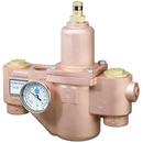 1-1/4 x 1-1/2 in. NPT Thermostat Mixing Valve