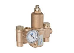 3/4 in. NPT Mixing Valve