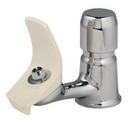 Deck Mount Single Hole Push Button Metal Classroom Bubbler in Stainless Steel