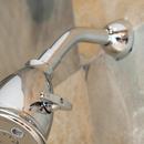 Speakman Polished Chrome 7 in. Shower Arm and Flange 