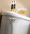 Moen Polished Chrome Trip Lever 