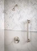 Moen Brushed Nickel Single Lever Handle Shower Only 