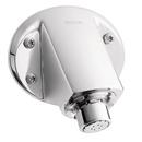 Moen Chrome 2.5 gpm 1-Function Fixed Mount Showerhead 