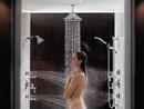 Brizo Chrome Single Function Hand Shower 