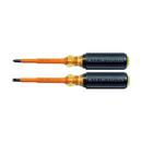 Klein Tools Black Manual 2 Piece Screwdriver 