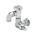 T&S Brass Chrome Plated in Polished Chrome Sillcock Vacuum Breaker 