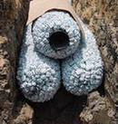 Infiltrator Systems Plastic Drainage Pipe 