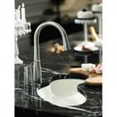 KOHLER Polished Chrome Single Handle Pull Down Kitchen Faucet 