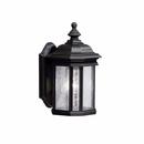 100 W 1-Light Medium Outdoor Wall Lantern in Black