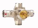 Phylrich&reg; NPT Thermostat Mixing Valve 
