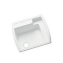 25 x 22 in. Top Mount and Undermount Laundry Sink in White