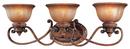 Minka Lavery Illuminati Bronze&trade; 100 W 3-Light Bath 