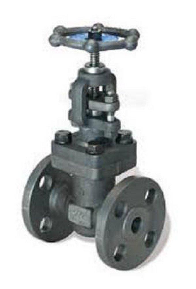 DSI Forum Energy Technologies 150# RF FLG WCB T8 Globe Valve Carbon Steel Body, Trim 8, Bolted Bonnet 133XU 