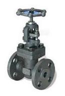 DSI Forum Energy Technologies 150# RF FLG WCB T8 Globe Valve Carbon Steel Body, Trim 8, Bolted Bonnet 133XU 