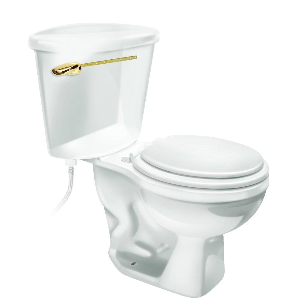 Fluidmaster Polished Brass Trip Lever 